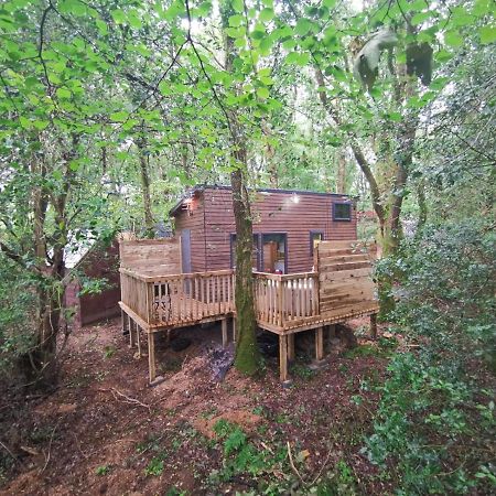 Tiny House-Hot Tub-St Clears-Pembrokeshire-Tenby Villa Carmarthen Exterior photo