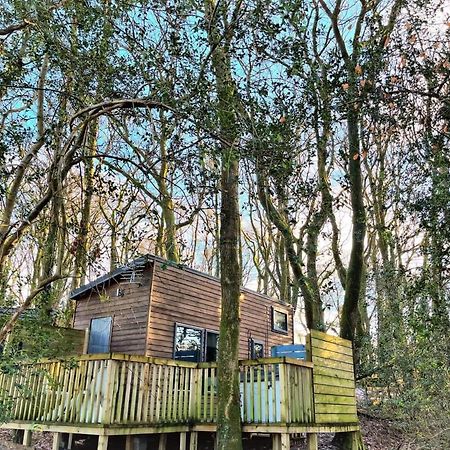 Tiny House-Hot Tub-St Clears-Pembrokeshire-Tenby Villa Carmarthen Exterior photo